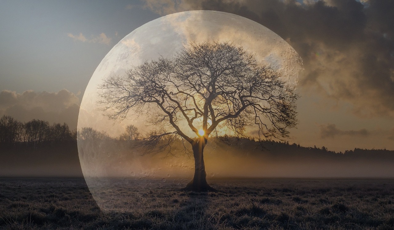 最新星空美景，探索宇宙的浪漫與神秘之旅