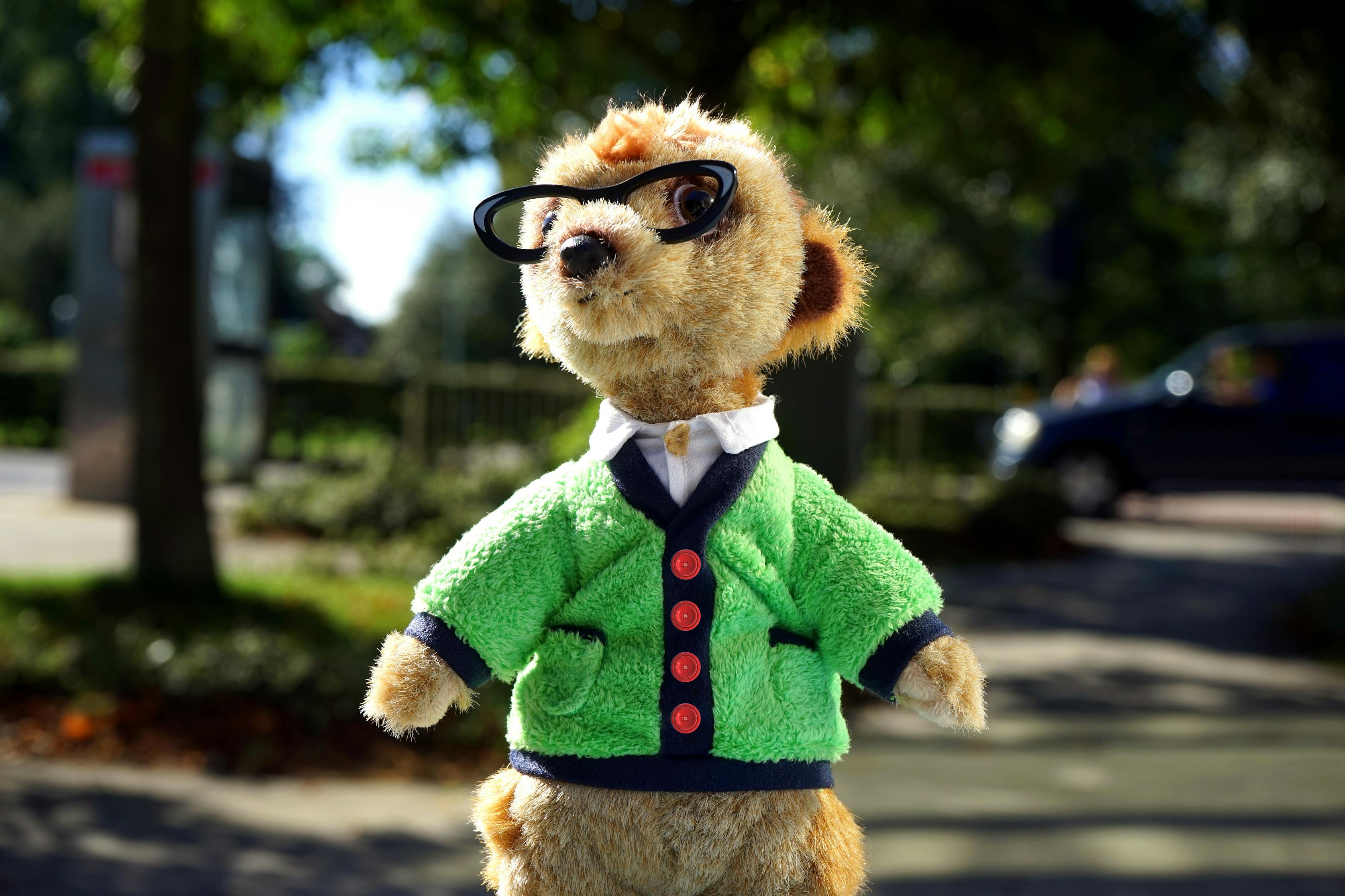 哈狗杭牌三合一官方最新版，游戲玩家的福音