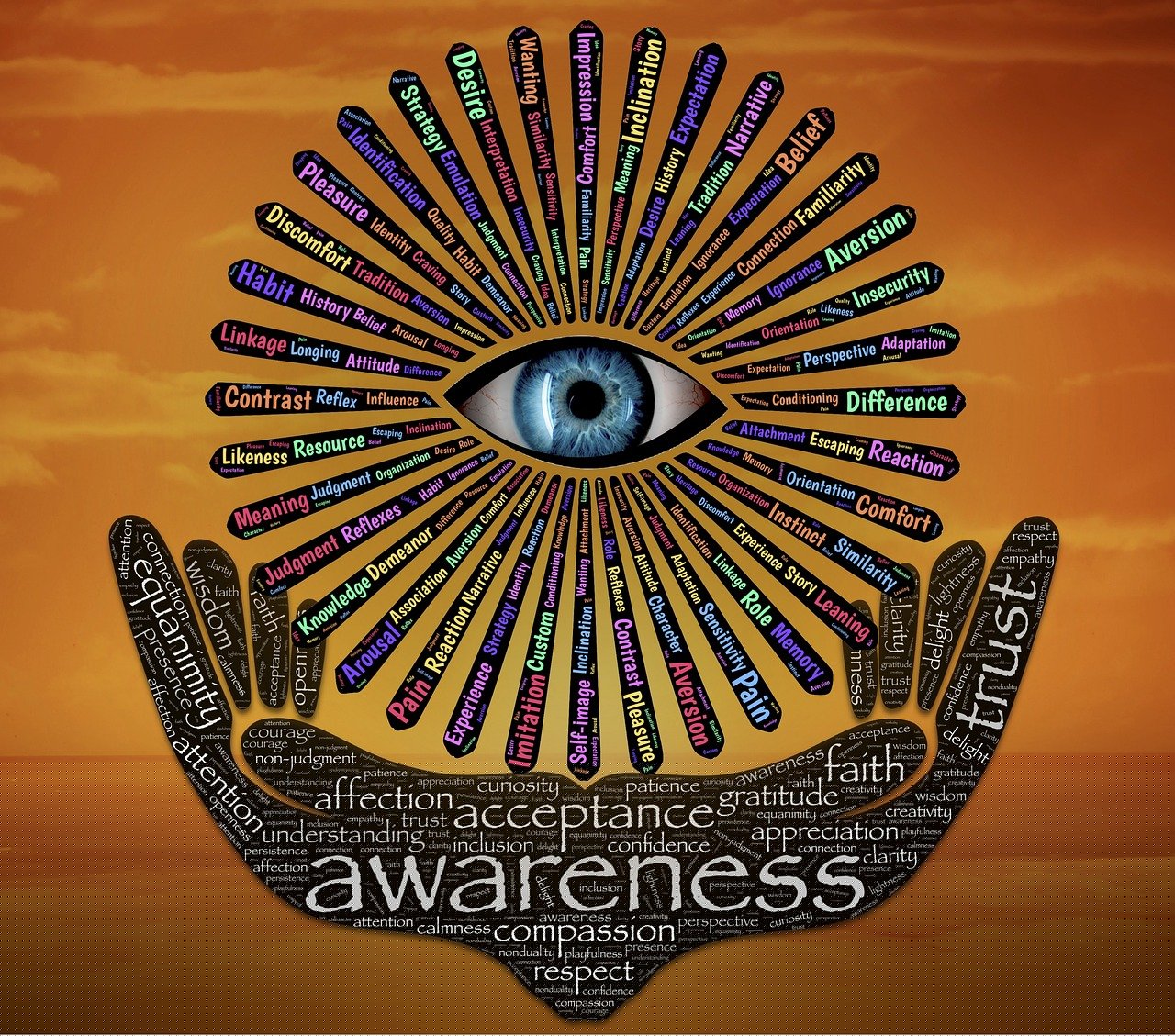 黑名單電影，深度解讀與反思的啟示