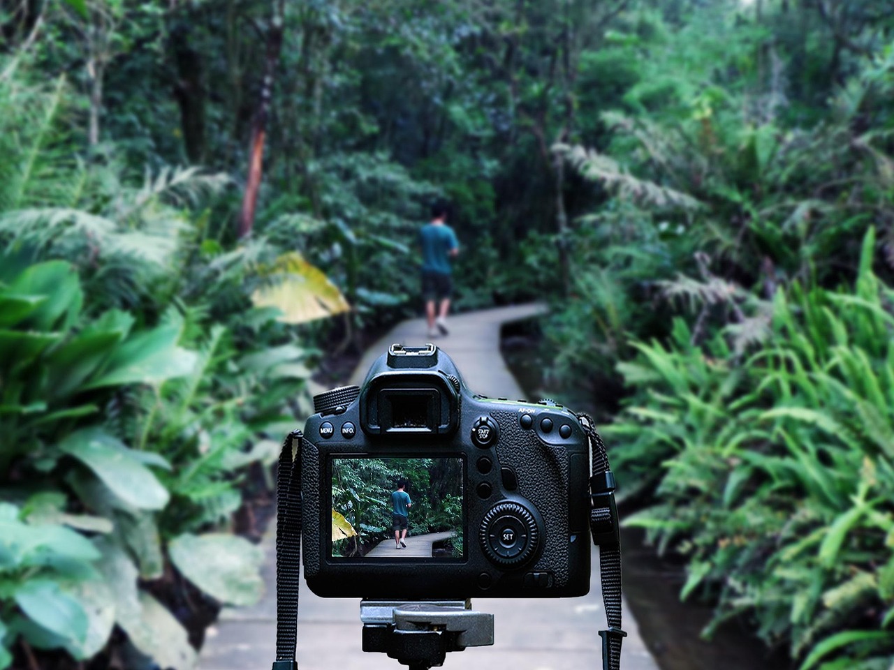 汪清虎豹公園最新動(dòng)態(tài)報(bào)道速遞