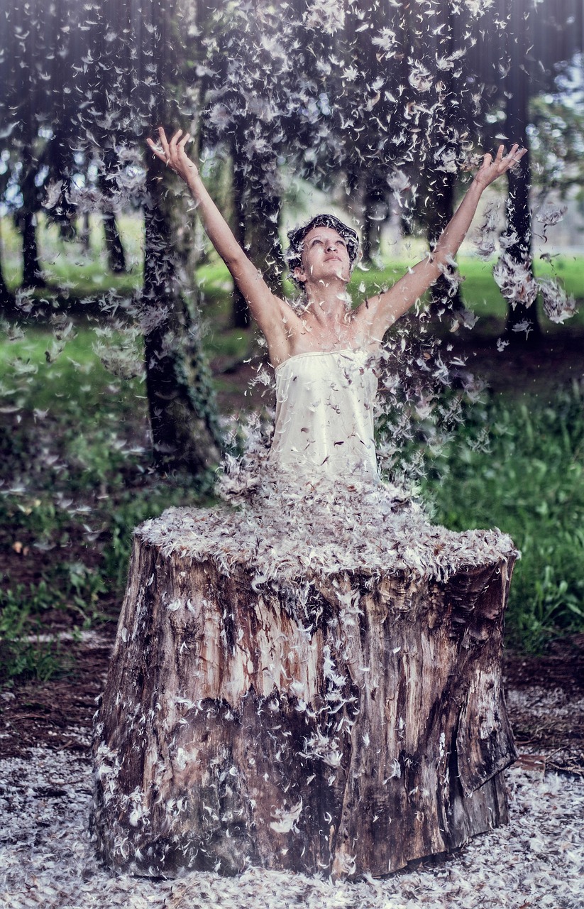 昕銳上市時刻揭曉，探尋汽車市場新動態(tài)，揭開神秘面紗