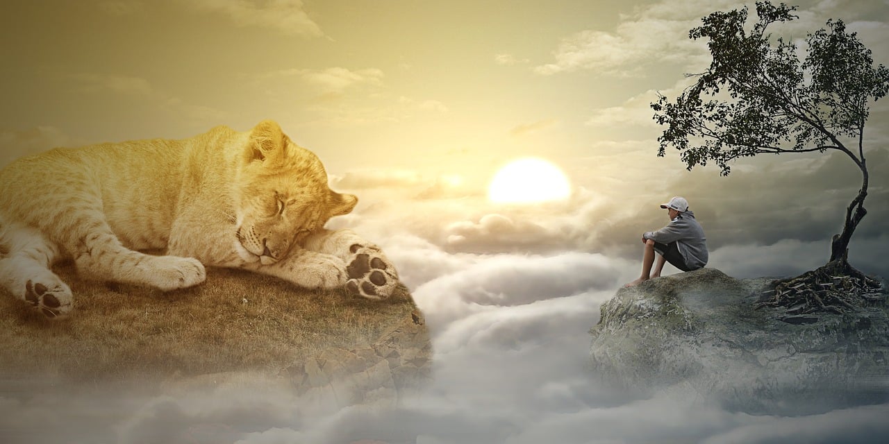 阿凡達2最新進展深度探索與期待